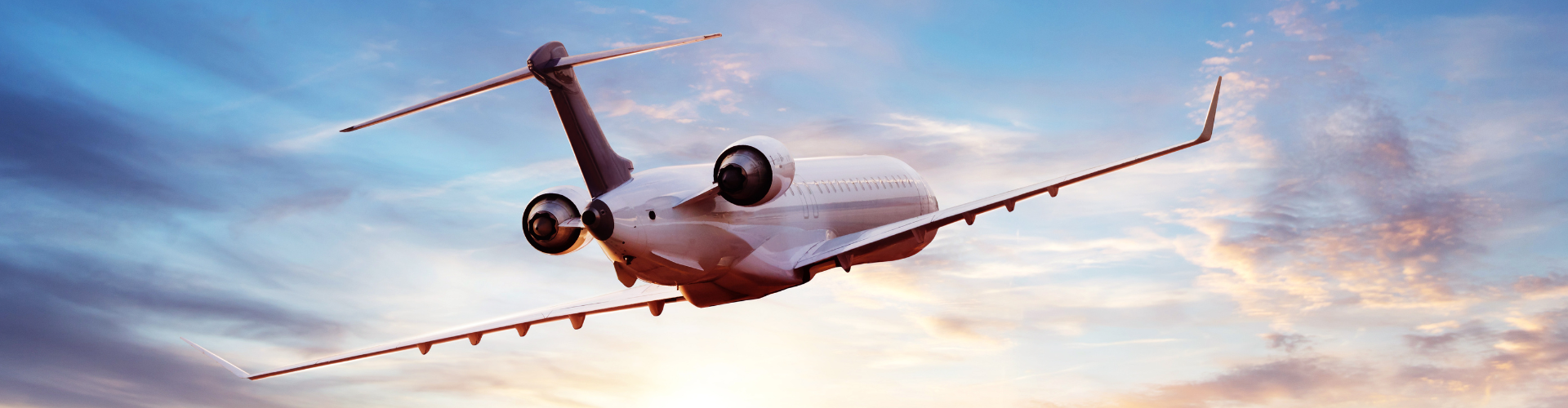 Working with Expert Witnesses in Aviation