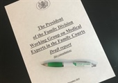 Previous Article