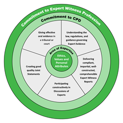 Core Competencies for Expert Witnesses