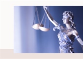 Expert criticised for tending to be an advocate and concerns about their objectivity or reliability also noted