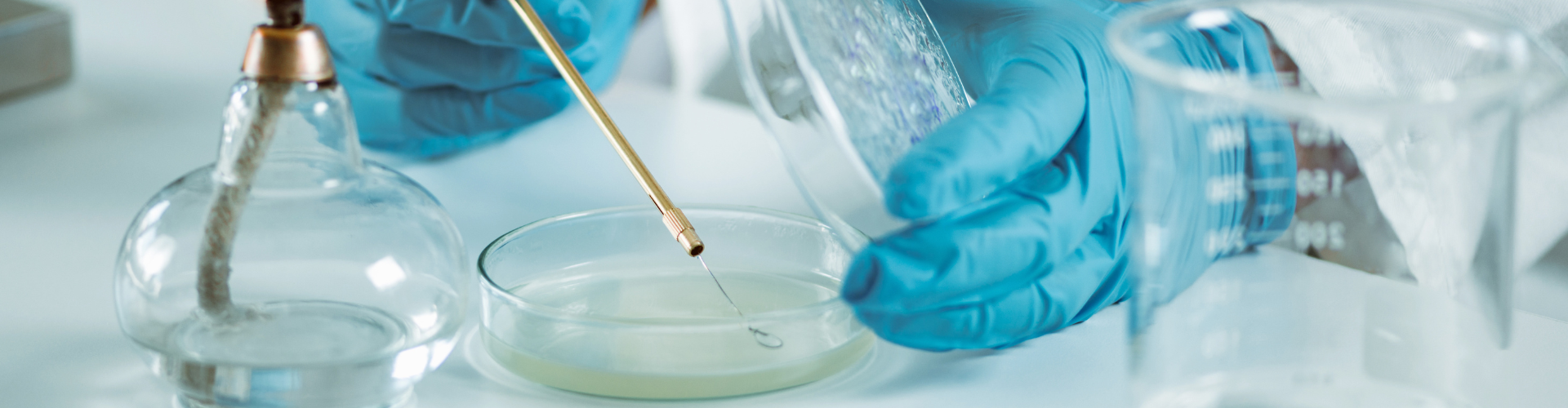 What I Do - The Expert in Clinical Microbiology
