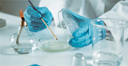 What I Do - The Expert in Clinical Microbiology