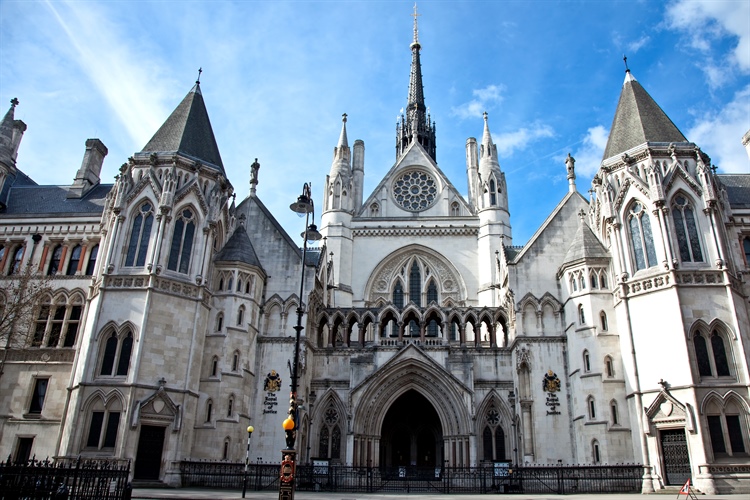 A relief for Expert Witnesses?