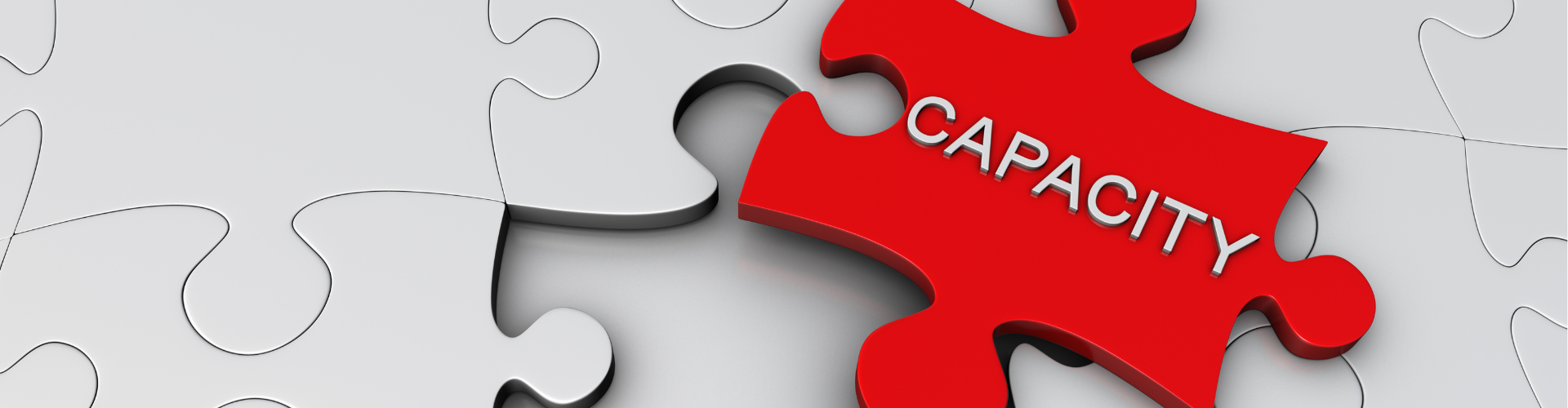 Litigation capacity