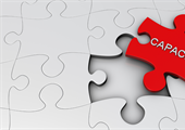 Litigation capacity