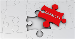 Litigation capacity