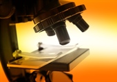 Could you be the next Forensic Science Regulator?