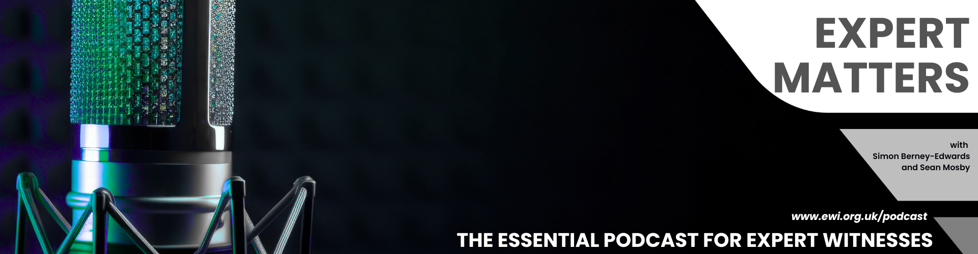 Podcast Episode 11: AI and the Expert Witness