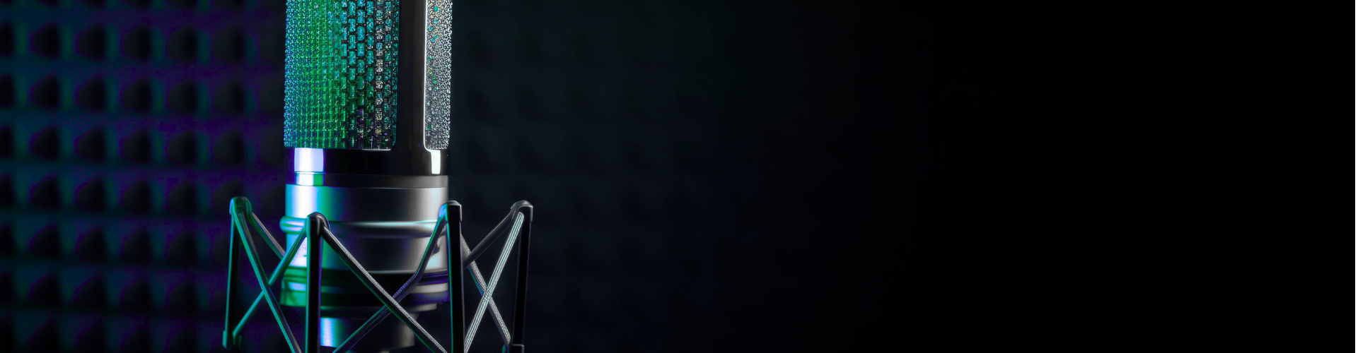 Podcast Episode 29: Acting for Litigants in Person