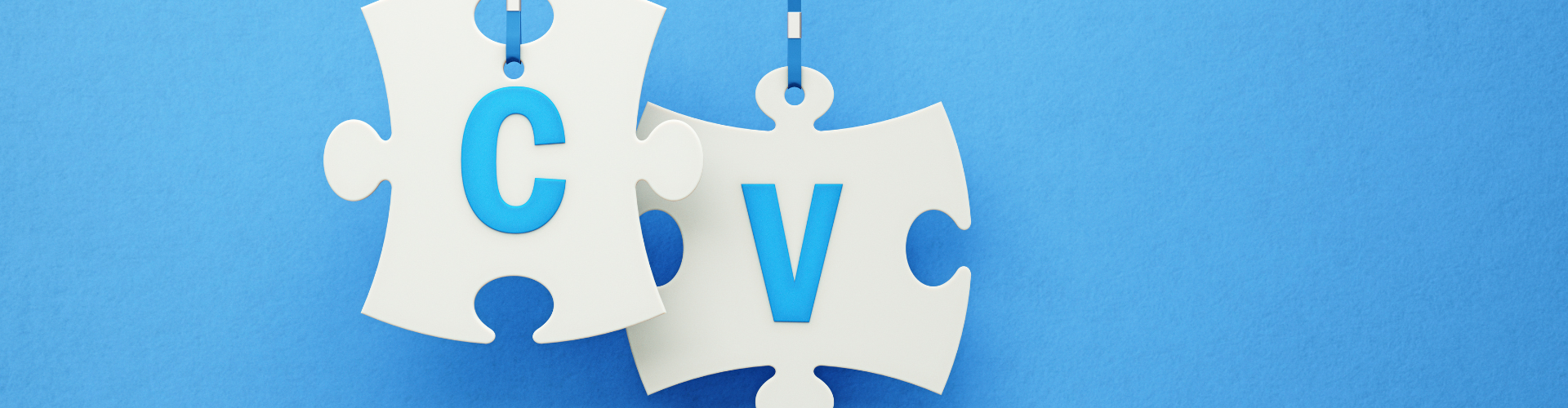 Your expert witness CV is not the same as a professional CV